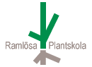 logo ramlosaplant